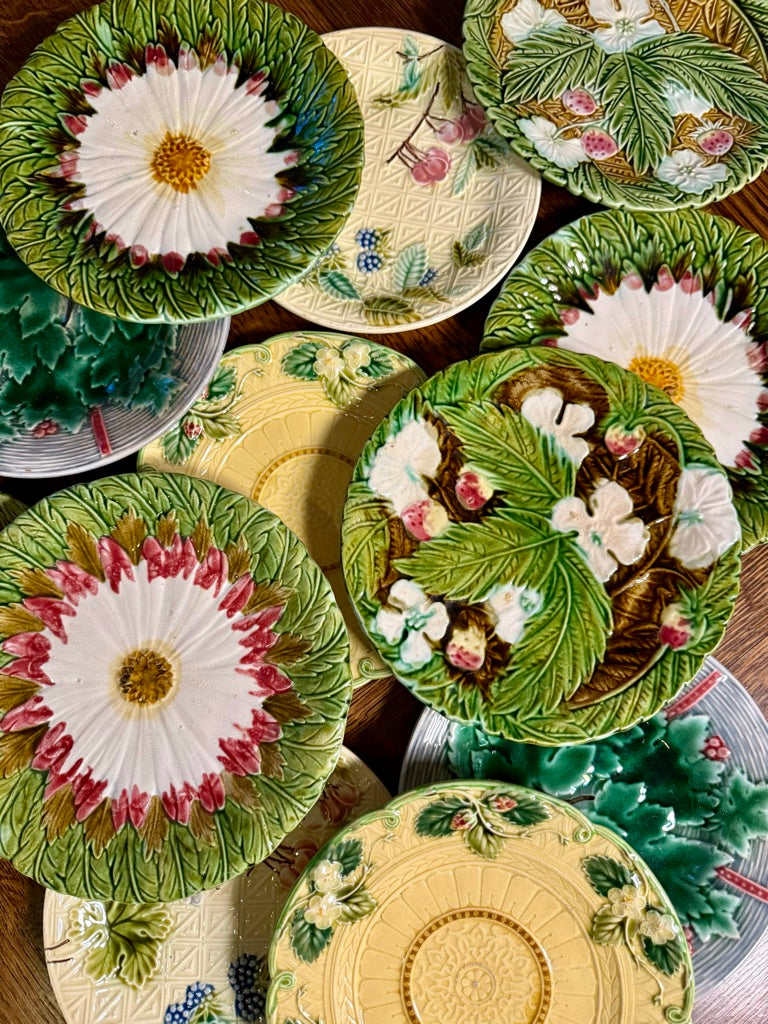 Set of 6 French Barbotine Majolica Plates with Daisy Flower Motif, 1900s